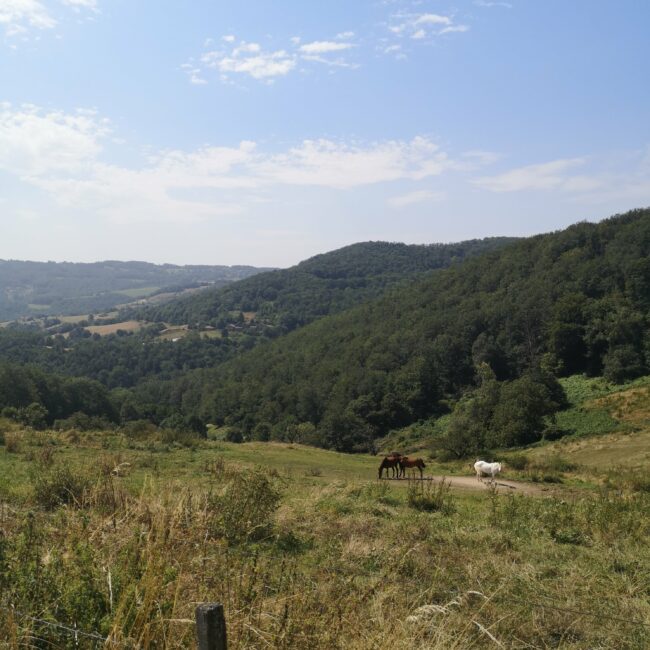 Les Monts du Lyonnais vers Yzeron ©Marie RENNETEAU