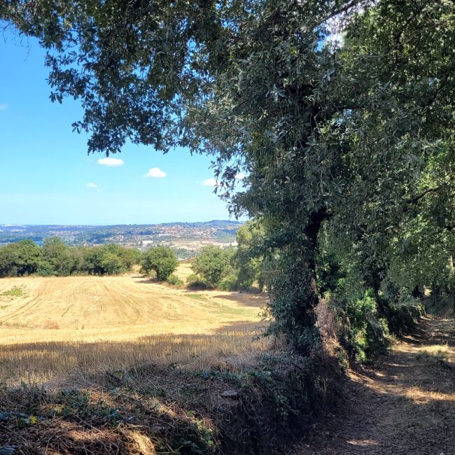 Sentier givordin - Le Laquet