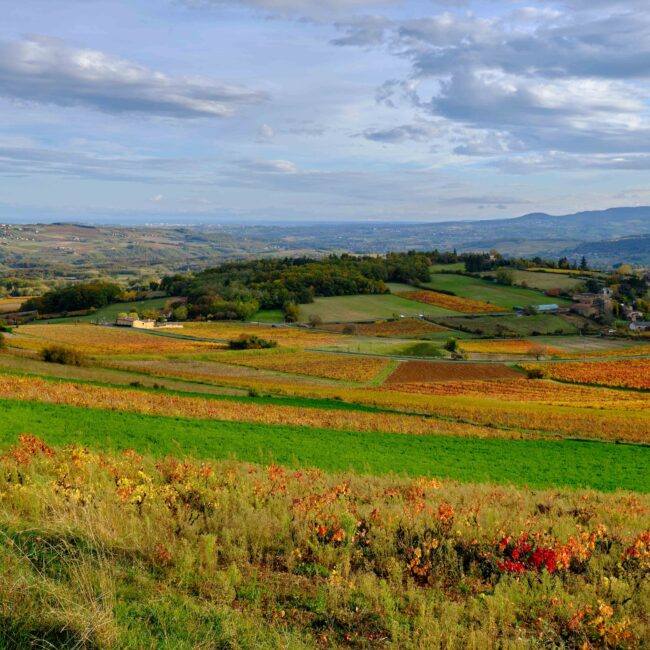 Village de Bagnols_Les Traverses des Pierres Dorées