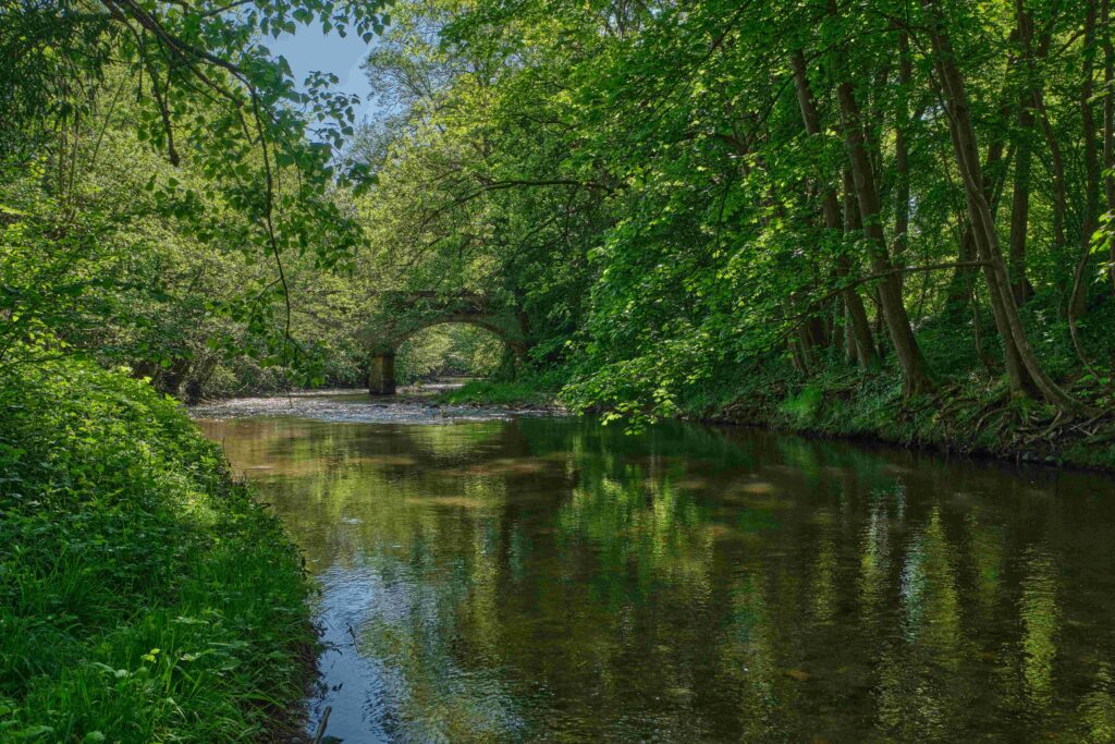 Rivière de l'Azergues 2 ©Dominique DE VERNEUIL
