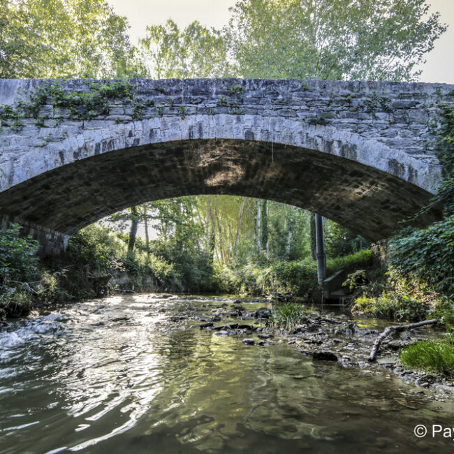 Rivière de l'Ozon ©Pays de l'Ozon