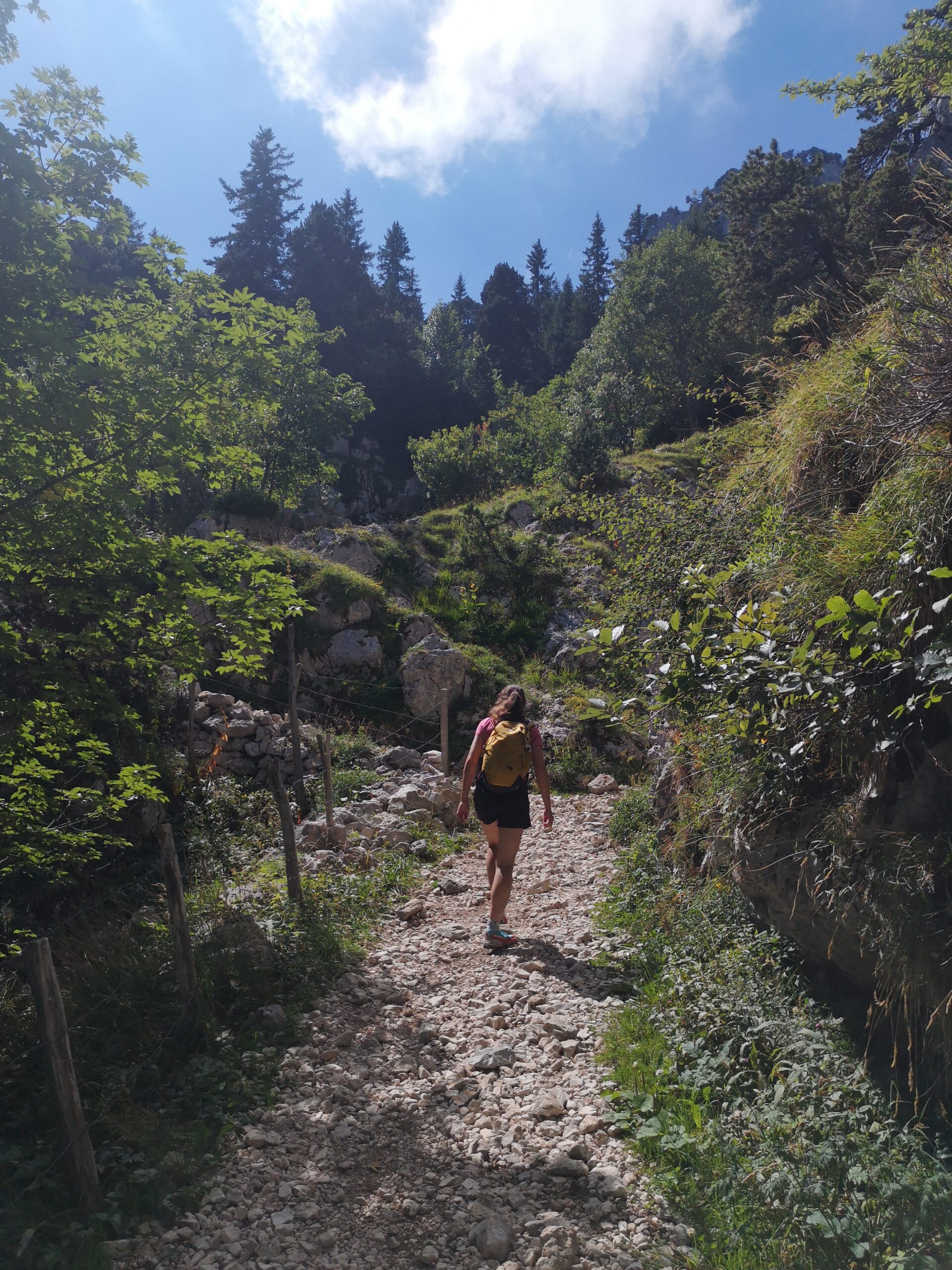 photo randonnée Alpes