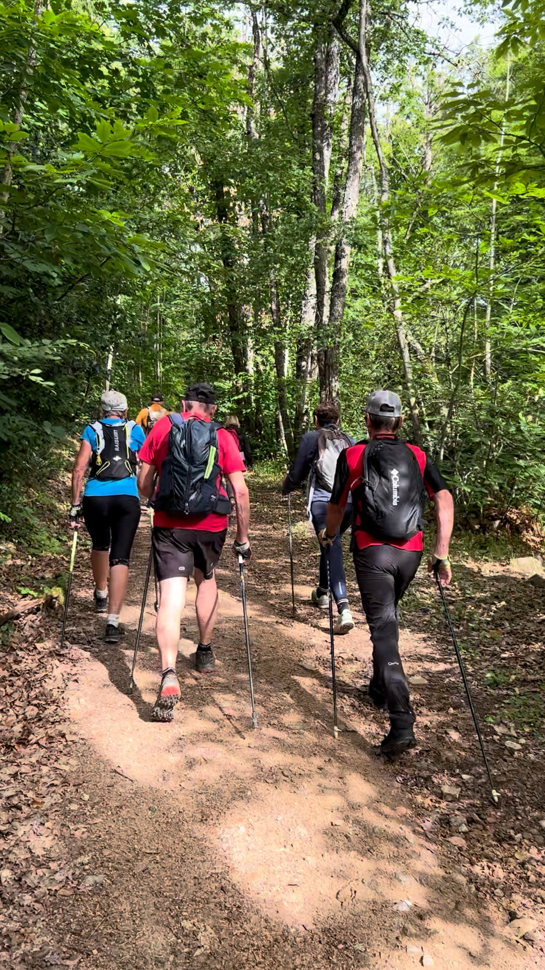 Pratiquants Fast Hiking