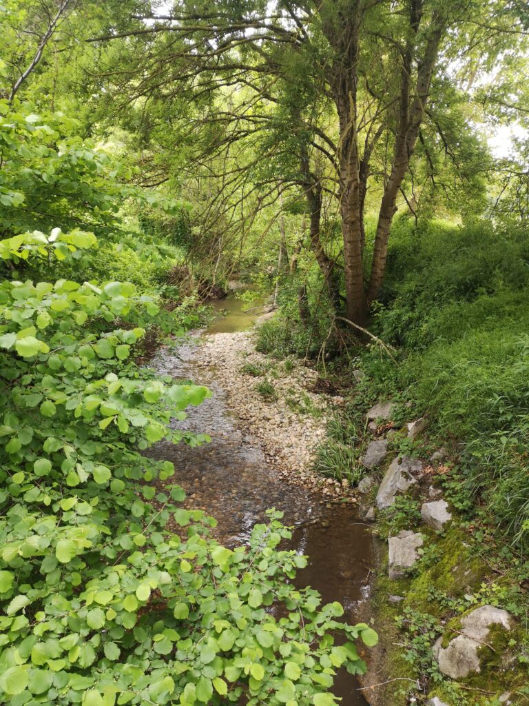Rivière de l'Ozon